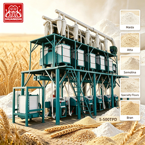 Projet clé en main : Moulin à blé à rouleaux 40 TPD, machine à farine de blé entier de norme européenne pour la production de pâtes - Product Image 1