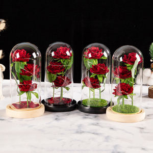 3แพ็ค<span class=keywords><strong>ดอกไม้</strong></span>กุหลาบนิรันดร์พร้อมไฟ LED โดมแก้วที่เก็บรักษาไว้กุหลาบ<span class=keywords><strong>ดอกไม้</strong></span>ประดิษฐ์วันวาเลนไทน์<span class=keywords><strong>2022</strong></span>ของขวัญ - Product Image 2