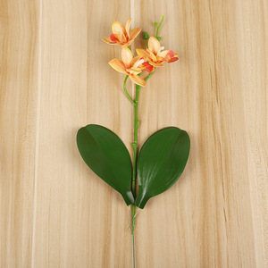 Orchidées Phalaenopsis artificielles Yiwu Datuo Florist, 10 pouces, blanc laiteux, rose, orange, jaune, décoration de mariage - Product Image 2