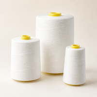 Fil de polyester filé à haute ténacité et faible rétrécissement pour la fermeture des sacs