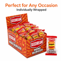 OEM Fabrikant Halal Premium Kwaliteit Pure Fruit Smaak Mini Burger Gummy Treat Individueel Verpakt in Displaydoos