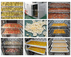 Industrial Fruit Banana Slice Dryer Machine Automatic Drying Equipment for Plantain Pineapple Papaya - Product Image 3