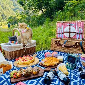 Bộ giỏ picnic cách nhiệt di động bằng mây đan với kỹ thuật sơn mài, dùng cho cắm trại ngoài trời và nhà bếp, bộ quà tặng đầy đủ - Product Image 3