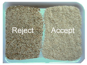 Wenyao 5 Chutes 320 Canaux 5ton Capacité Riz Trieur Machine CCD Intelligent Couleur Tri Machine pour Grain Haricots Lentilles - Product Image 5