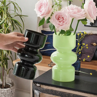 Vase hydroponique en verre teinté artisanal, écologique et haut de gamme, élégante décoration de table pour salon