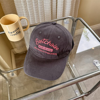 Gorras de Béisbol Personalizadas OEM para Papá, 100% Algodón, con Logotipo Bordado e Impreso, Correa Trasera Ajustable, Gorra Deportiva para Adultos, Venta al Por Mayor