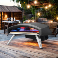 Four à pizza au gaz propane 12 pouces en stock Four à pizza au gaz portable sans régulateur ni tuyau