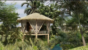 Toiture en paille artificielle isolante pour maison d'hôtes décorative en zone touristique - Product Image 5