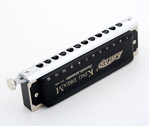 <span class=keywords><strong>Harmonica</strong></span> <span class=keywords><strong>chromatique</strong></span> East Top à 12 trous avec lames en bronze phosphoreux, étui noir à fermeture éclair, Do majeur - Meilleur service et <span class=keywords><strong>prix</strong></span> compétitif - Product Image 3