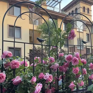 Panneaux de <span class=keywords><strong>grille</strong></span> de treillis métallique en treillis métallique Offre Spéciale en usine pour plantes grimpantes et fleurs en extérieur, cour - Product Image 4