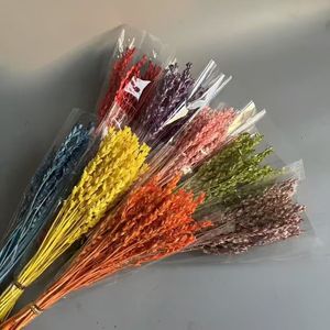 2025 Nuevo beleño conservado para decoraciones de bodas y decoraciones navideñas - Product Image 1