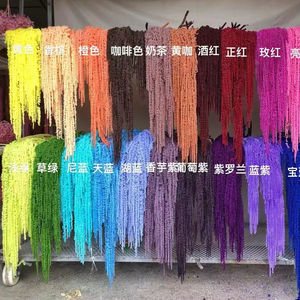 Decoraciones <span class=keywords><strong>de</strong></span> boda al por mayor flores amaranto colgantes blancas conservadas para graduación Navidad Acción <span class=keywords><strong>de</strong></span> Gracias precio <span class=keywords><strong>de</strong></span> fábrica - Product Image 1