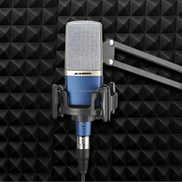 Usine OEM ODM microphone à condensateur professionnel, microphone de studio, microphone d'enregistrement professionnel