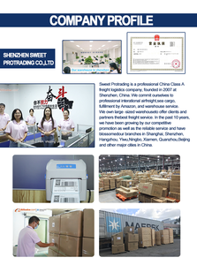 Agent de Transport Express Aérien et Maritime Transitaire de Chine vers les États-Unis, le Royaume-Uni, le Canada, l'Italie Conteneur de Fret en Dropshipping - Product Image 4