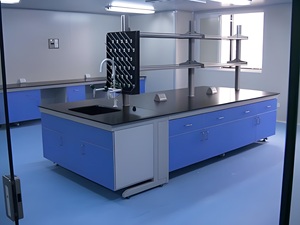 Tất cả các thép phòng thí nghiệm bàn làm việc thép-gỗ thí nghiệm bảng vật lý hóa học bảng Countertop trung tâm phòng thí nghiệm đồ nội thất - Product Image 6