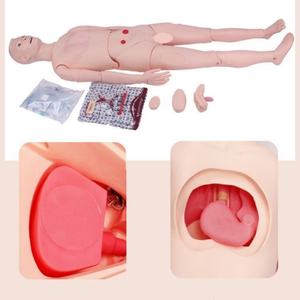 Modèle de soignant masculin articulé de haute qualité, très vendu, avec possibilité de changer les genoux, les genoux articulés et les ondulations de la poitrine - Product Image 5