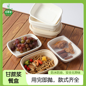 Boîte bento rectangulaire jetable en pulpe de canne à sucre, compatible micro-ondes, biodégradable, pour pique-niques et repas du midi - Product Image 5
