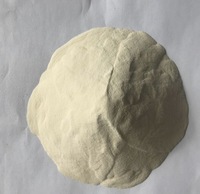 Gomme pure de xanthane 200 mesh cosmétique/gomme de xanthane de qualité alimentaire