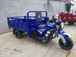 Phong Cách Mới 250cc Ba Bánh Hành Khách Và Hàng Hóa Ba Bánh Xe Máy Nhiên Liệu Xăng Ba Bánh Xe Xe Máy - Product Image 6