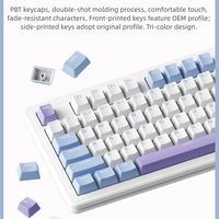 Custom Hot-swappable Three-mode USB C Wired Wireless Mechanical Gaming Rechargeable Programmable RGB Backlight 87 Keys PBT