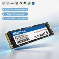 SSD NVMe M2 2280 de 256 Go, haute capacité, serveur NAS, station de travail, 7400 Mo/s, 3D NAND TLC, SSD haute capacité