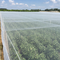 Grensoverschrijdende groothandel volformaat witte anti-fruitbomen insectenwerende netafdekking voor moestuin en schuur, bescherming tegen vliegen en fruitvliegen