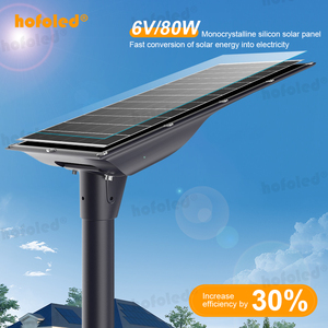 Đèn Đường Tích Hợp hofoled 40 Watt tùy chỉnh <span class=keywords><strong>100Watt</strong></span> hoàng hôn đến bình minh bên ngoài đèn đường cảm ứng năng lượng mặt trời 60W - Product Image 4