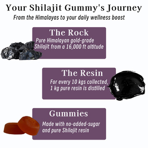 สารสกัดจากดอกธาเลย์ shilajit สีทอง3000มก. พร้อมสารสกัดจาก Mucuna pruriens สารสกัด anacyclus pyrethrum ลดความเหนื่อยล้า - Product Image 2