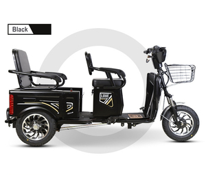 รถสามล้อโดยสาร 1000 วัตต์ ราคาถูก แบบเปิดโล่ง 3 ล้อ ขนาดเล็ก - Product Image 6