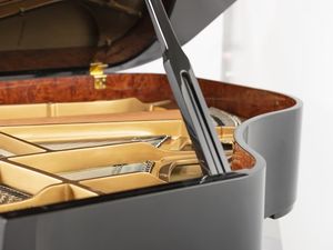 Nieuwe aanwinst: hoogwaardige professionele concertvleugel met 88 toetsen - Product Image 2