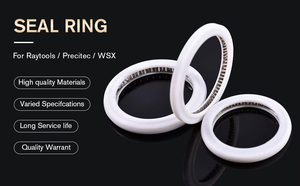 レーザーツール用の広い応用性高抵抗Oリングシールリング - Product Image 3
