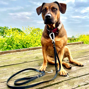 Laisse tactique de luxe à double poignée pour chien, en PVC enduit de plastique durable, avec mousqueton à rivets élastiques et dégagement rapide - Product Image 3