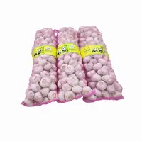 Hot Sell Chinese Wholesale China Price 10KG Mesh Bag Wild Pure White Normal Fresh Purple Garlic