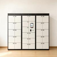 Casier de rangement intelligent personnalisé à faible MOQ avec certification CE, logiciel d'intégration de système de casiers RFID, armoire de stockage numérique personnalisée