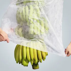 Anti uv biodegradable pp spunbonded non woven fabric Banana bag agriculture fabric fruit horticulture fleece nonwoven material