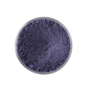 Poudre d'extrait sec de Premium Evolvulus Alsinoides Shankhpushpi, ingrédient botanique naturel pour complément alimentaire nutraceutique - Product Image 2