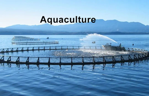 NEWTEK PSA Gerador De Oxigênio Para Aquicultura Fábrica De Oxigênio Trade Manufacture - Product Image 6