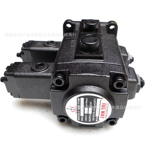 Pompe à huile à double palette basse pression Juntian VP20 20 FA3 VP30 30 FA3 VP40 40 FA3 pour système hydraulique en fonte - Product Image 4