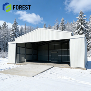 Solution clé en main moderne pour hangar d'avion en structure acier industrielle, montage facile pour la logistique aérienne avec service de conception - Product Image 1