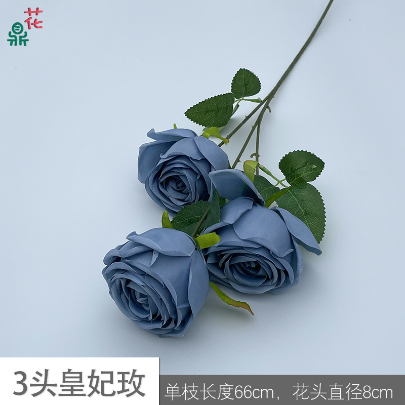3-headed Royal Rose ZYJ, Haze Blue