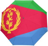 Australie Haïti Parapluie néerlandais Parapluie pliant suspendu en nylon pour automobile Parapluie en plastique durable Drapeau imprimé numérique