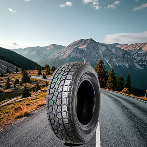 Pneus de course tout-terrain pour <span class=keywords><strong>rallye</strong></span> fabriqués en Chine, pneus slicks 255 35 19, prix bas - Product Image 6