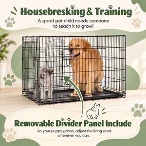 Cage pliable respirante en métal pour chiens et chats, double porte, robuste, avec panneau de séparation et plateau amovible, noire, vente en gros - Product Image 2