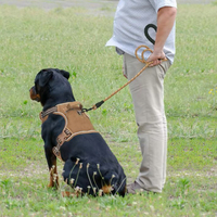 Ensemble Harnais Gilet Tactique de Dressage pour Animaux, Qualité Supérieure, Personnalisable, Marron, Ajustable, Contrôle Facile, Robuste, pour Grands Chiens de Travail