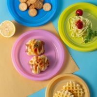 Ensemble jetable personnalisé de couleurs mélangées Disque en plastique pour fête Ensemble de vaisselle pour biscuits et gelée
