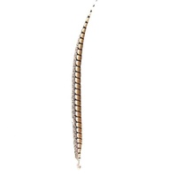 Plumes de faisan de haute qualité pour accessoires de spectacle théâtral, coiffes de défilé, accessoires de cosplay d'Halloween, fabrication d'attrape-rêves