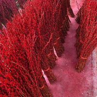 Hochwertige 2026 Natürliche Trockenblumen Silberweide Frühlingsfest Konservierte Blumenpflanzen Heim Neujahrs-Deko Salix Argyracea