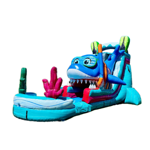 Tobogán Inflable Gigante de PVC para Niños, Castillo Inflable, Tobogán Seco, Tobogán Acuático - Product Image 1