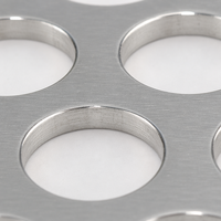 Grille de haut-parleur en acier inoxydable 304/316 de haute qualité, micro-perforée, couleur brillante, technique de tissage, certifiée ISO9001 et ROHS