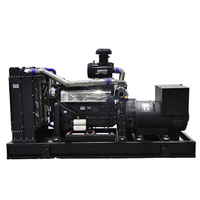 Fabriek Groothandel Juiste Prijs 310kw 3 Fase Stille Diesel Elektrische Generator Set